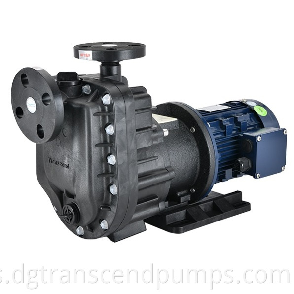 Custom Magnetic Drive Pump